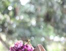 pexels khairul m hannafi