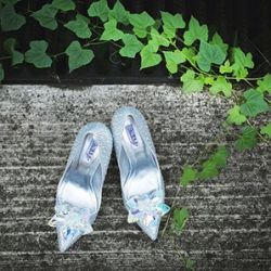 shoe g065c8c026 shoe g065c8c026